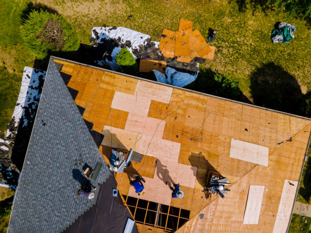 Best Storm Damage Roof Repair  in New Hackensack, NY